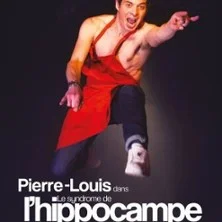 Visuel de spectacle de Pierre-Louis Jozan