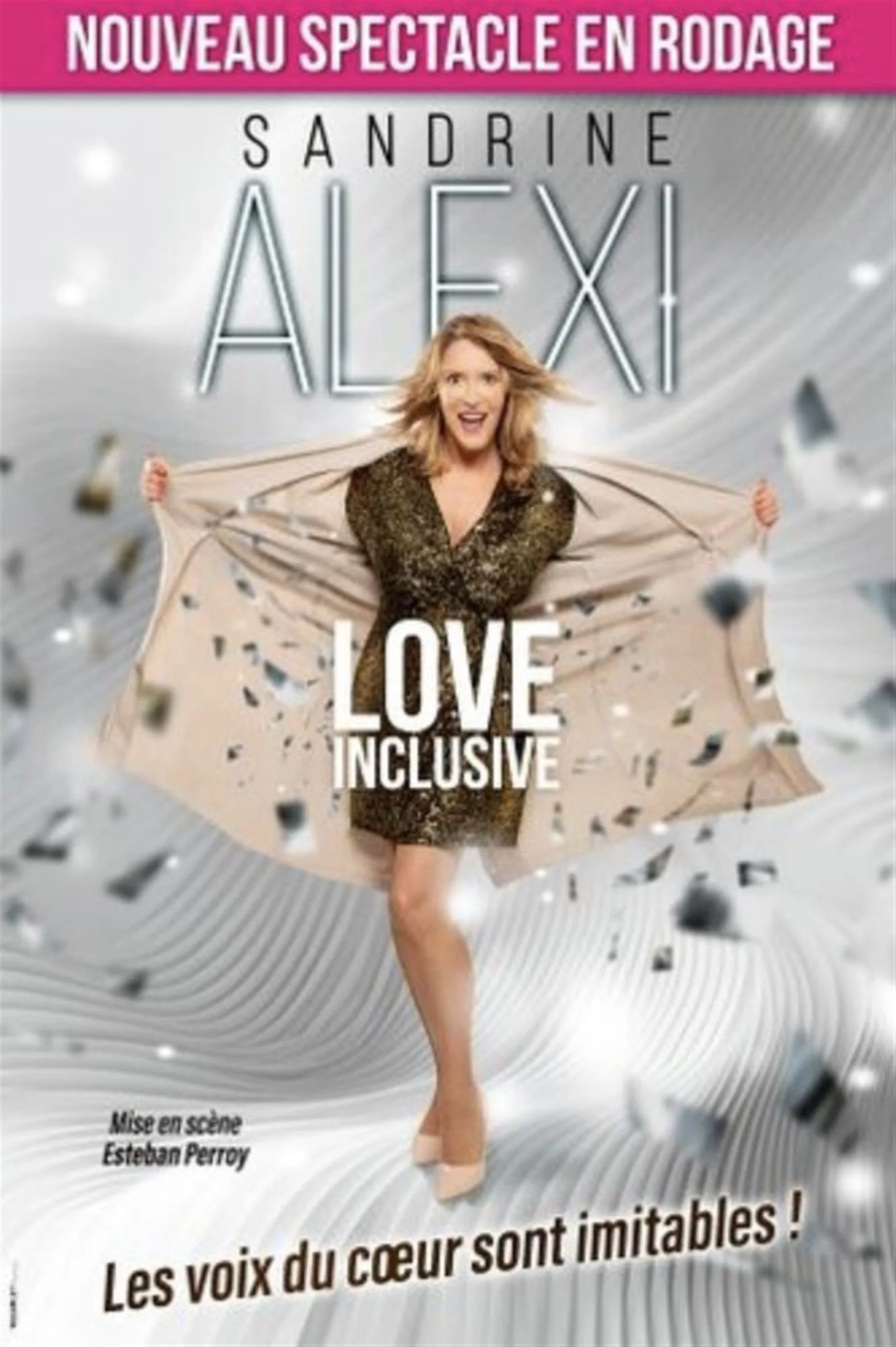 Affiche de Sandrine Alexi flingue l'actu avec Sandrine Alexi