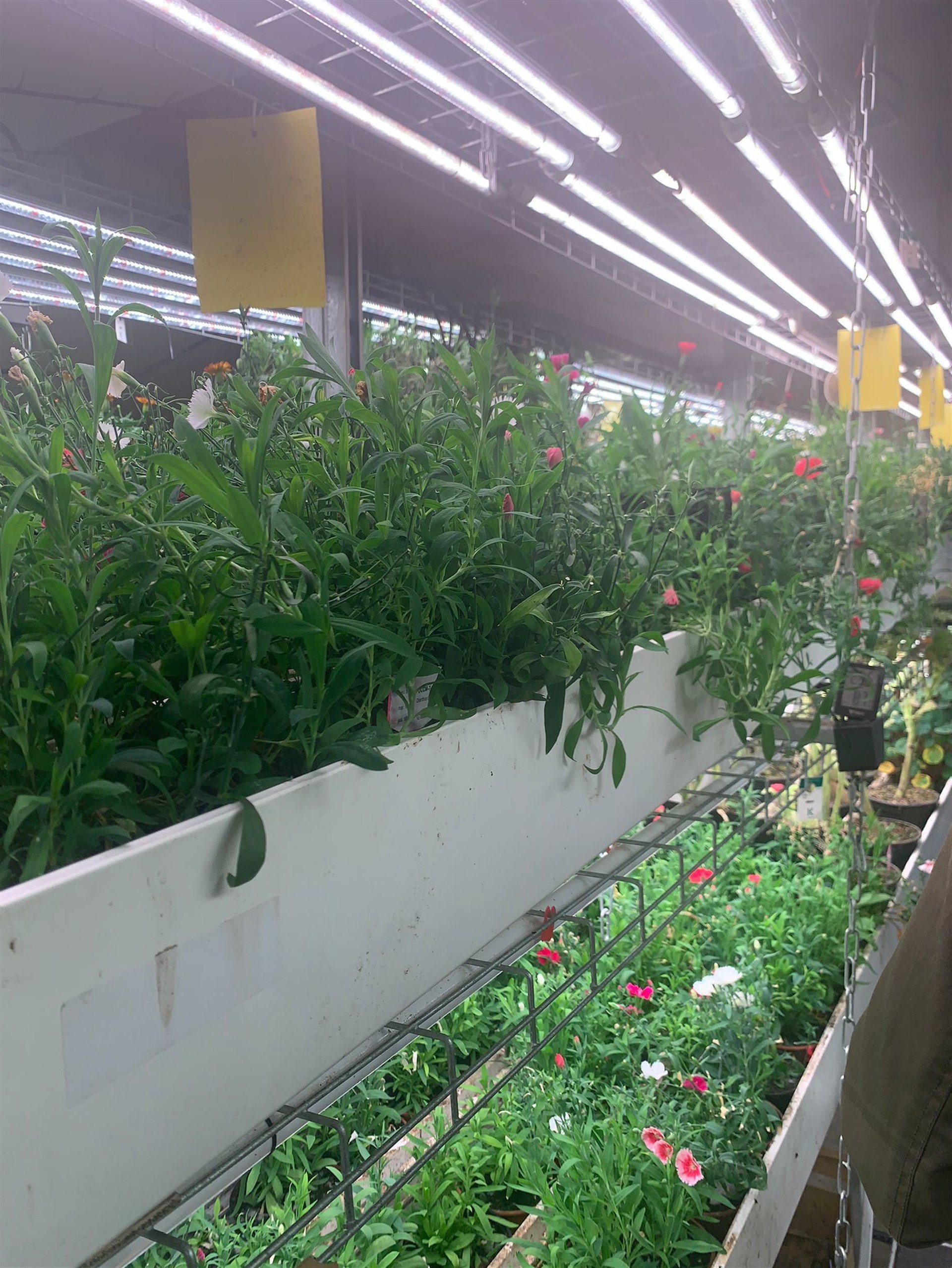 Portrait de Visite guidée : Une ferme urbaine bio