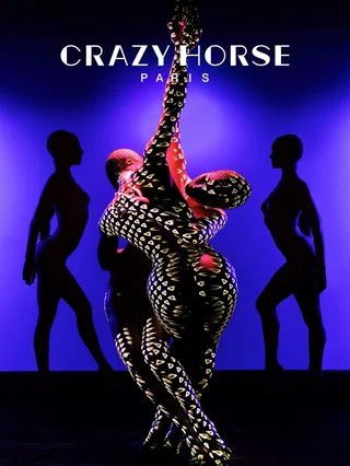 Affiche de Crazy Horse Totally Crazy