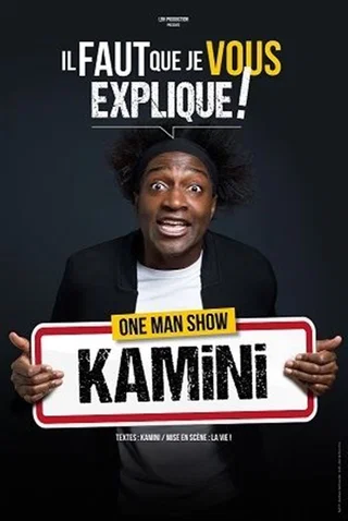 Affiche de Il faut que je vous explique avec Kamini