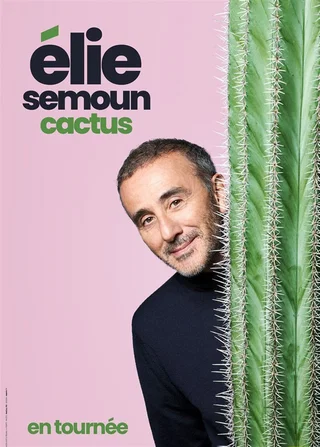 Affiche de Cactus avec Elie Semoun