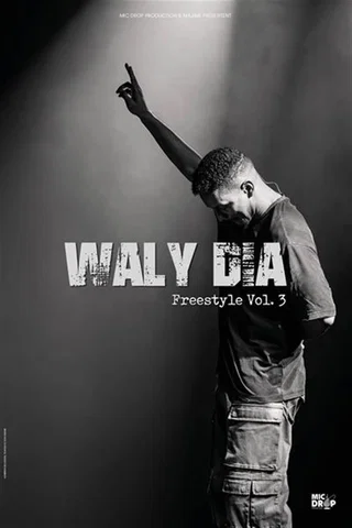 Affiche de Freestyle Vol. 3 avec Waly Dia
