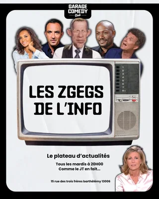 Affiche de Les zgegs de l'info