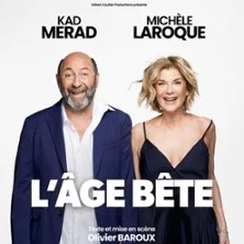 Affiche de Parking l'âge Bête - Kad Merad & Michèle Laroque