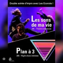 Affiche de Les sons de ma vie