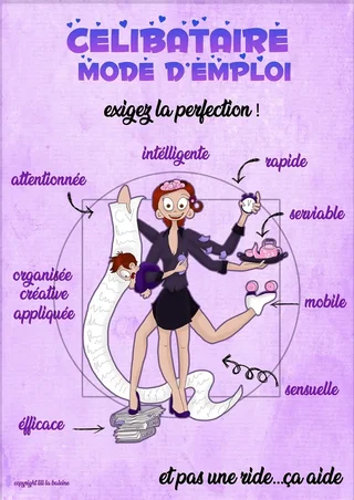 Affiche de Célibataire mode d'emploi