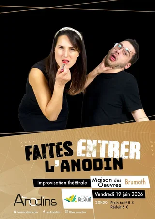 Affiche de Faites entrer l'Anodin