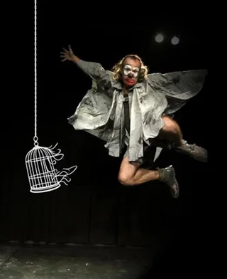Affiche de La cage au pigeon