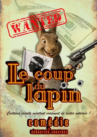 Affiche de Le coup du lapin