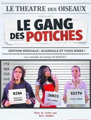 Affiche de Le gang des potiches