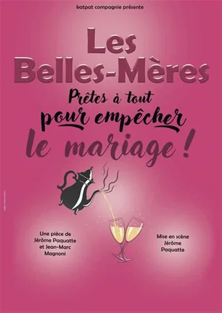 Affiche de Les belles-mères
