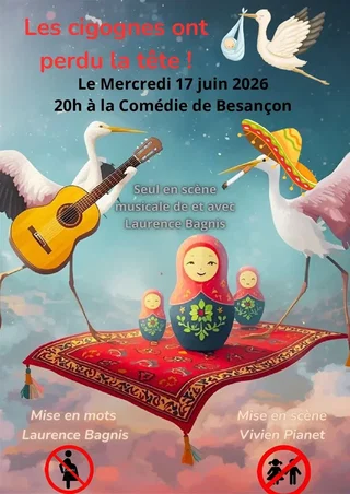 Affiche de Les cigognes ont perdu la tête