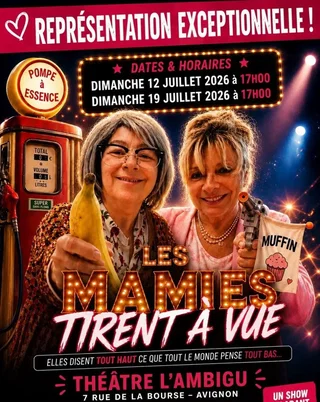 Affiche de Les mamies tirent à vue