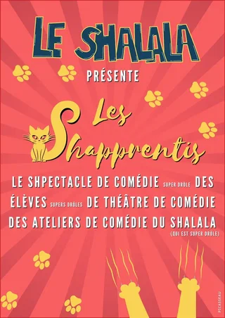 Affiche de Les Shapprentis du mardi