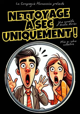 Affiche de Nettoyage à sec uniquement !
