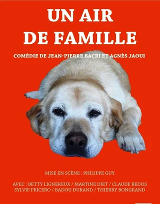 Affiche de Un air de famille