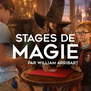 Affiche de William Arribart : Stage de Magie