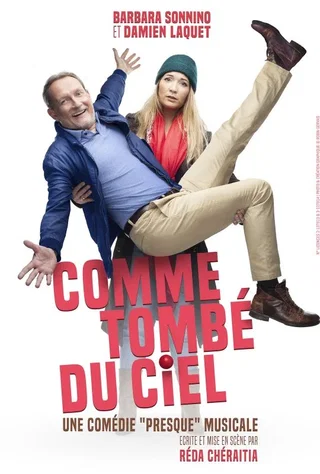 Affiche de Comme tombé du ciel