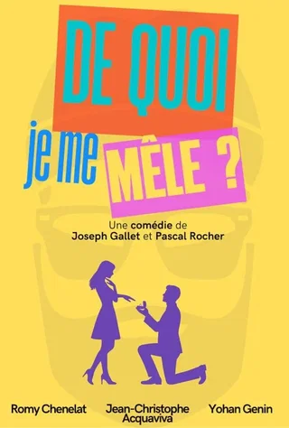 Affiche de De quoi je me mêle?