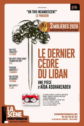 Affiche de Le dernier cèdre du liban