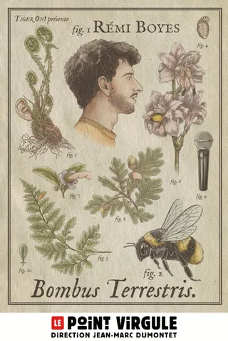 Affiche de Remi Boyes avec Rémi Boyes