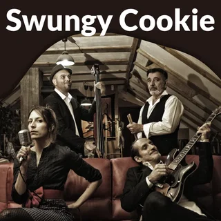 Affiche de Swungy Cookie