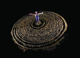 Affiche de l'Utopie des Arbres