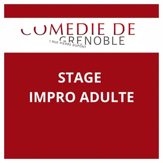 Affiche de 🎭 Stage d’improvisation – Adultes