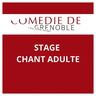 Affiche de 🎤 Stage de chant – Spécial Adultes
