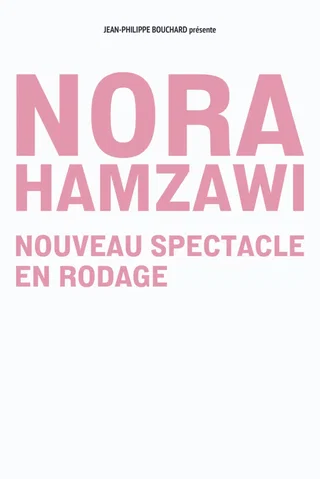Affiche de Nora Hamzawi avec Nora Hamzawi
