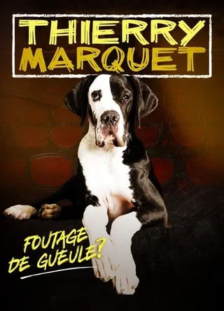 Affiche de Foutage de gueule ? avec Thierry Marquet