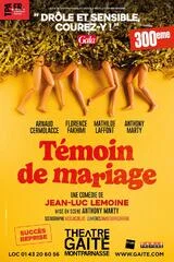 Affiche de Temoin De Mariage