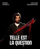 Affiche de Telle Est La Question