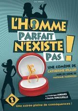 Affiche de L'homme parfait n'existe pas !